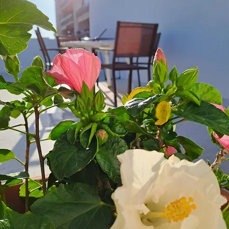 Nyaraló San Michele *