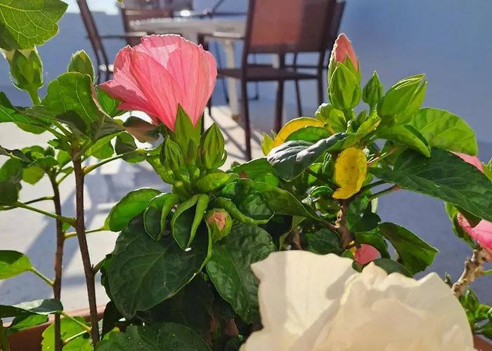 Prázdninový dům San Michele *